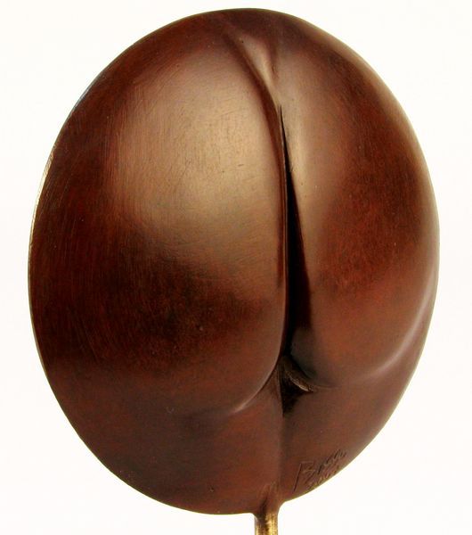 Anatomico